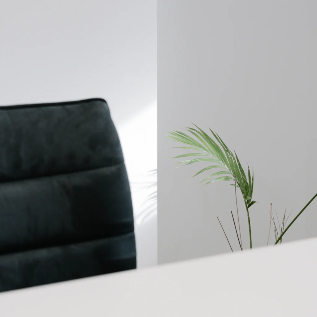 Plante décorative et chaise de bureau design – illustration de l’identité de marque et du soin apporté au contenu visuel